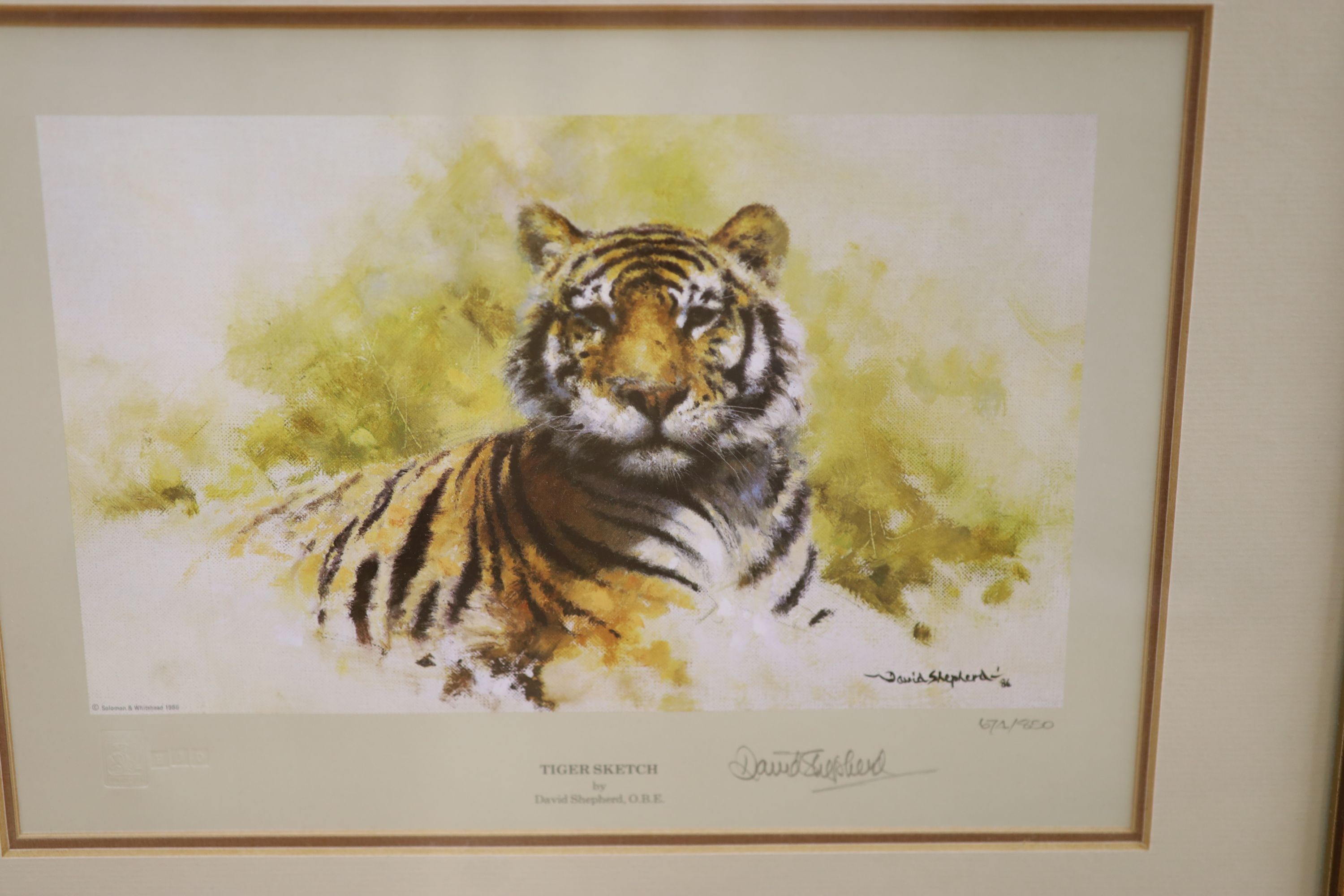 Margaret Chapman, three signed prints, Salt Regal, Salutaris Water and Johannis, all signed in pencil, 27 x 26cm and three David Shepherd prints; Lion sketch, Tiger sketch & Rhino Reverie